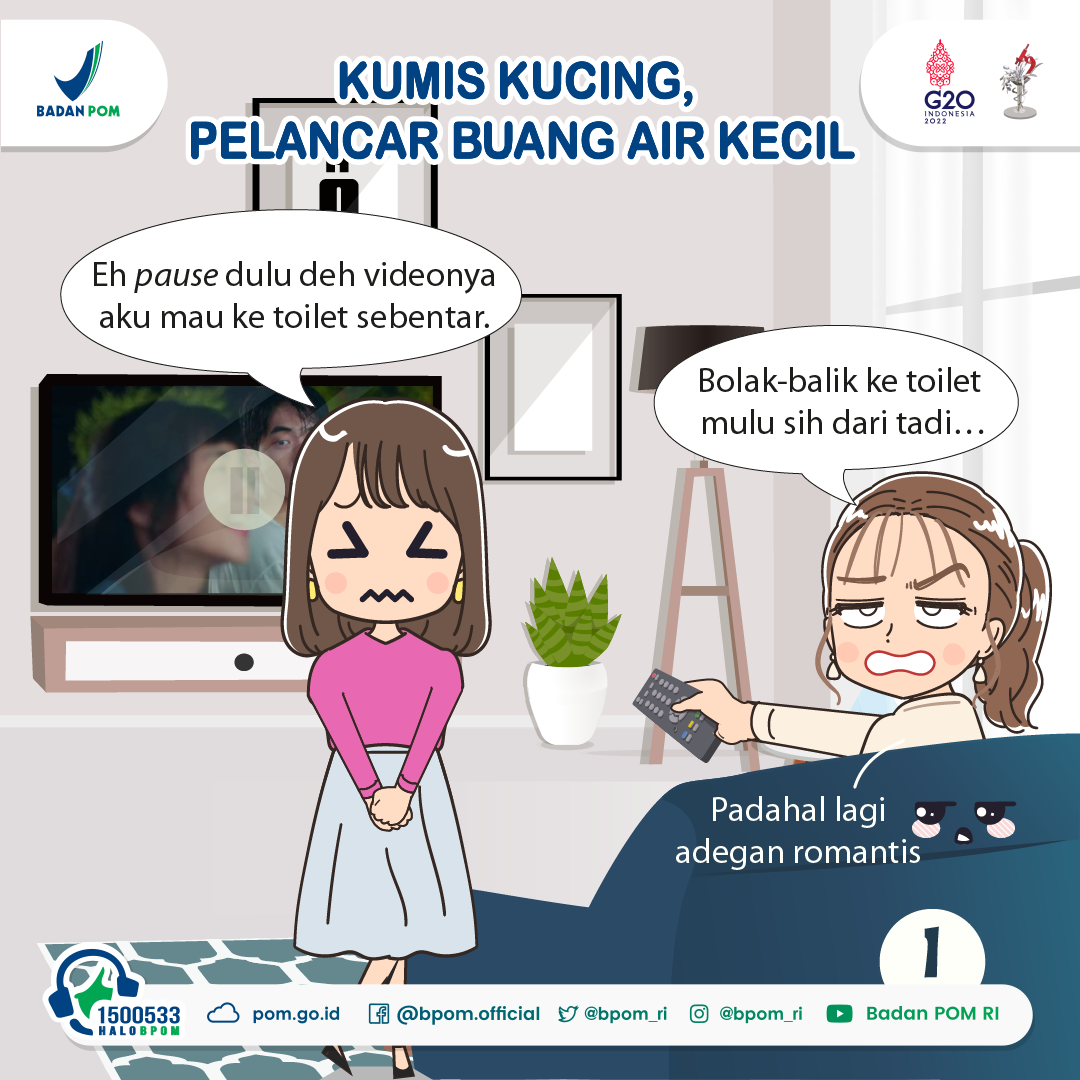 Kumis Kucing, Pelancar Buang Air Kecil